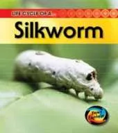 Life Cycles Pack C of 5