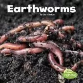 Little Critters Earthworms