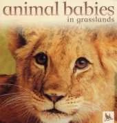 Animal Babies Grasslands