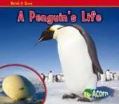 A Penguin's Life