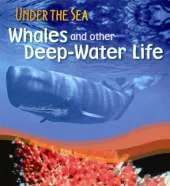 Whales and Other Deep-water Life
