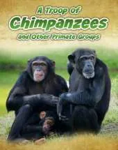 A Troop of Chimpanzees: and Other Primate Groups
