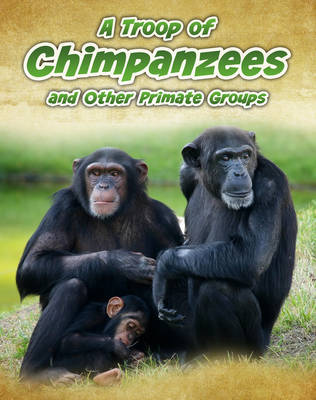 A Troop of Chimpanzees: and Other Primate Groups