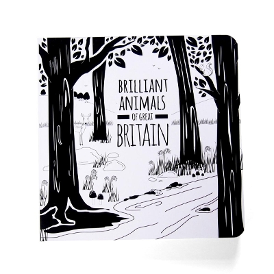 Brilliant Animals of Great Britain: The Little Black & White Book Project