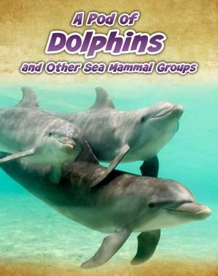 A Pod of Dolphins: and Other Sea Mammal Groups