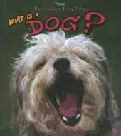 What Is a Dog