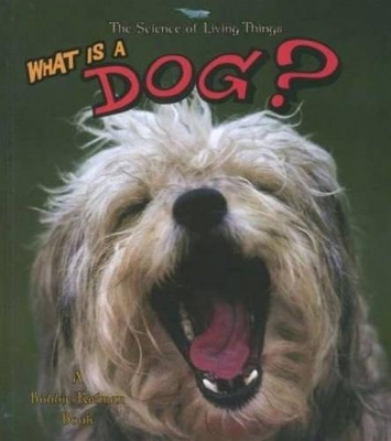 What Is a Dog