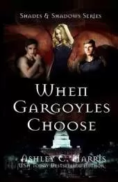 When Gargoyles Choose