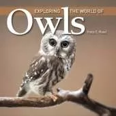 Exploring the World of Owls