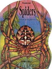 Spiders