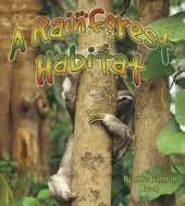Rainforest Habitat
