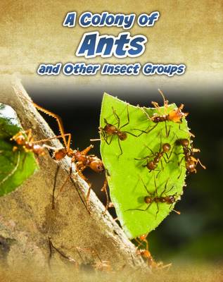 Animals in Groups: Pack A