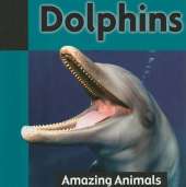 Dolphins