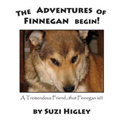 The Adventures of Finnegan Begin!