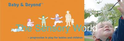 Sensory World: Progression in Play for Babies and Children