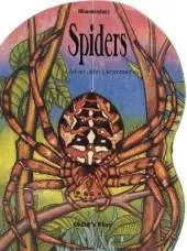Spiders