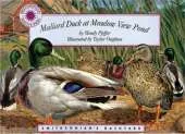 Mallard Duck at Meadow View Pond