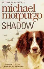 Shadow