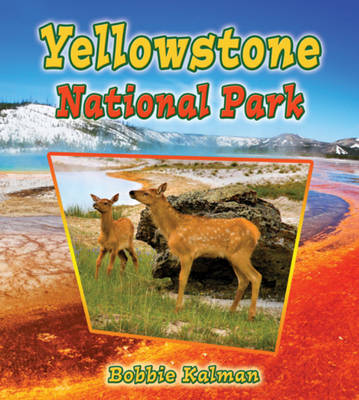 Yellowstone National Park