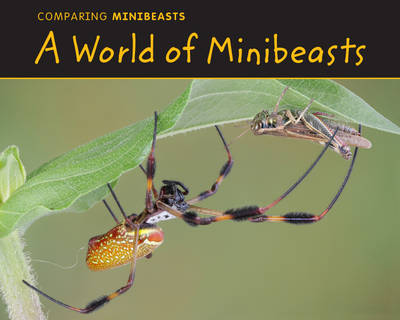 A World of Minibeasts