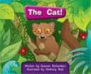 Springboard Connect 1e The Cat!