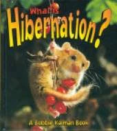 What is Hibernation