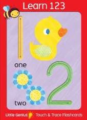Little Genius Giant Flash Cards 123