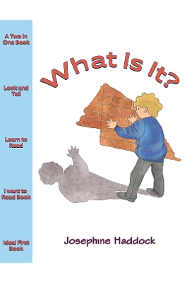 What Is It?