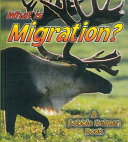 What is Migration