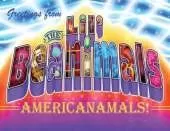 Greetings from the Lil' Beanimals: AmeriCanamals
