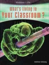 Hidden Life: Whats Living In Your Classroom Hardback
