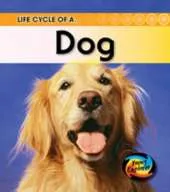 Life Cycle of a Dog