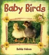 Baby Birds