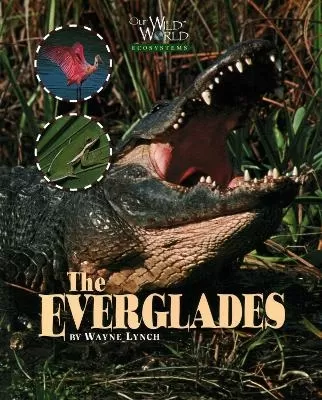 Everglades