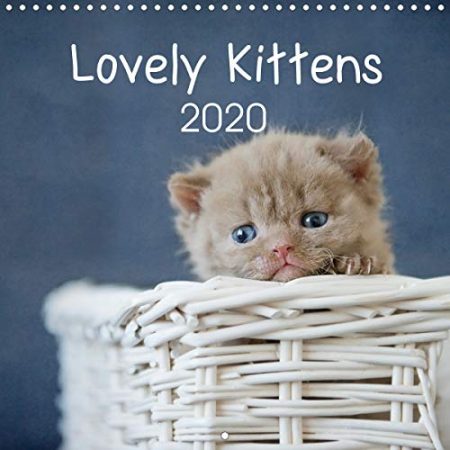 Lovely Kittens 2020 2020: 12 lovely kittens - 12 full-colour images