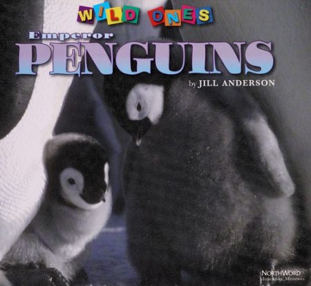Emperor Penguins