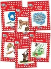 Jolly Phonics Readers, Nonfiction, Level 1: in Precursive Letters (British English edition)