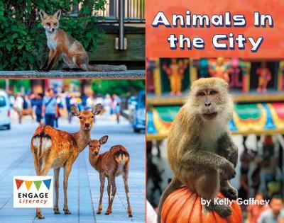 Animals In the City