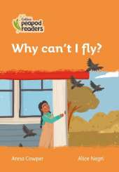 Level 4 - Why can't I fly?