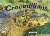 Crocodilians