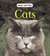 Read and Play: Cats
