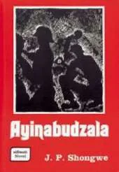 Ayinabudzala