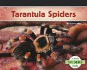 Tarantula Spiders