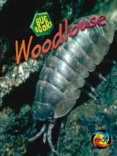 Woodlouse