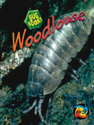 Woodlouse