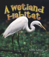 A Wetland Habitat