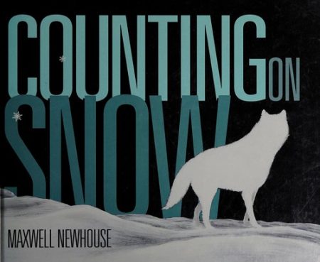 Counting on Snow