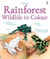 Rainforest to Colour