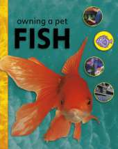 Owning A Pet: Fish