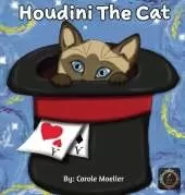 Houdini The Cat